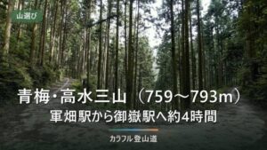 軍畑駅から御嶽駅へ約4時間｜高水三山（高水山・岩茸石山・惣岳山）の区間時間と冬の出発時刻
