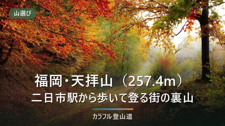 天拝山は公園から山頂まで約30分か上り40分か|JR二日市駅から徒歩26分の段取りと冬の日の入