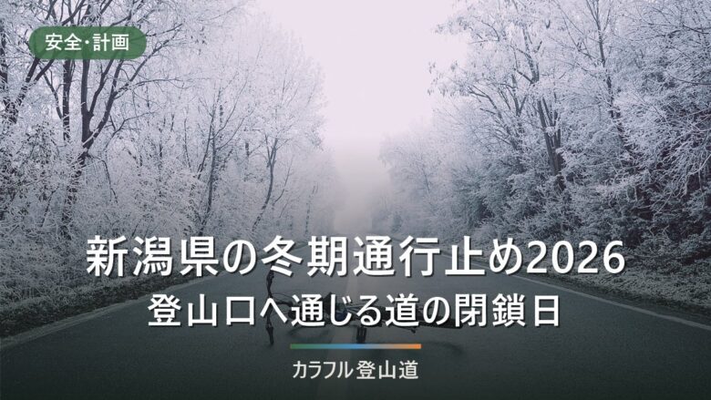 新潟県の冬期通行止め2026|枝折峠(国道352号)は未発表、過去3年は11月4〜6日