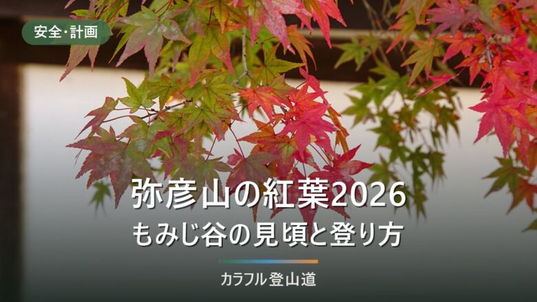 弥彦山の紅葉2026|弥彦公園もみじ谷は例年11月上旬〜中旬・ロープウェイ下り最終17時