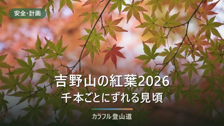 吉野山の紅葉2026年の見頃はいつ?例年11月上旬〜12月上旬と10/24からの交通規制